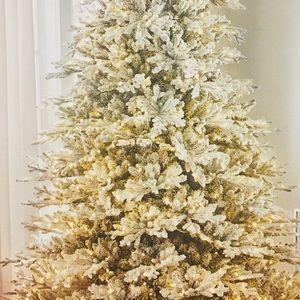 Meet your Posher, Doreen